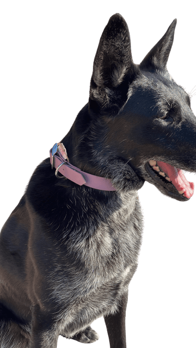 Collier alva - 40-47 cm 