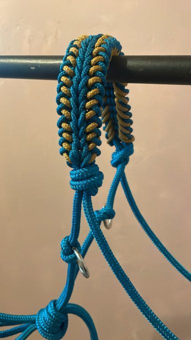 Licol Éthologique Bleu Océan 