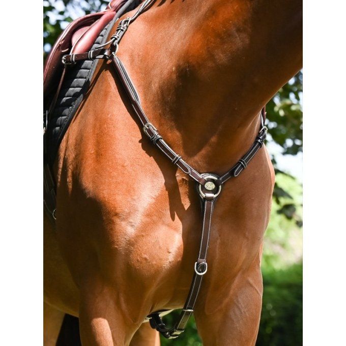 Collier de chasse Wenesday