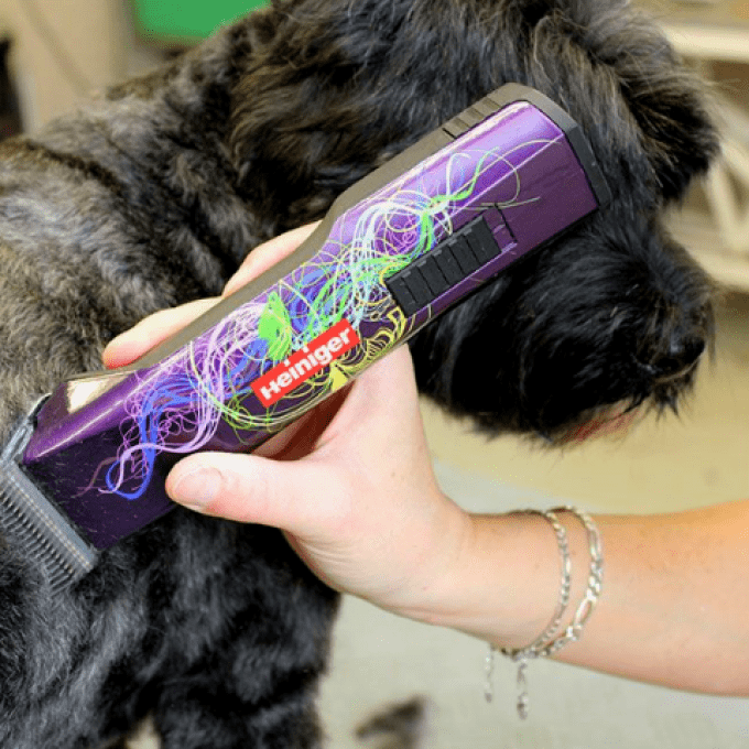 Location Tondeuse Finition