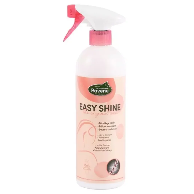 Easy shine 