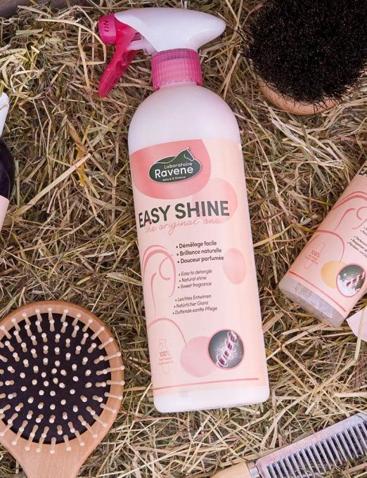Easy shine 