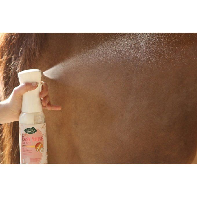 Easy Shine intense 