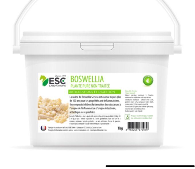 Boswellia 