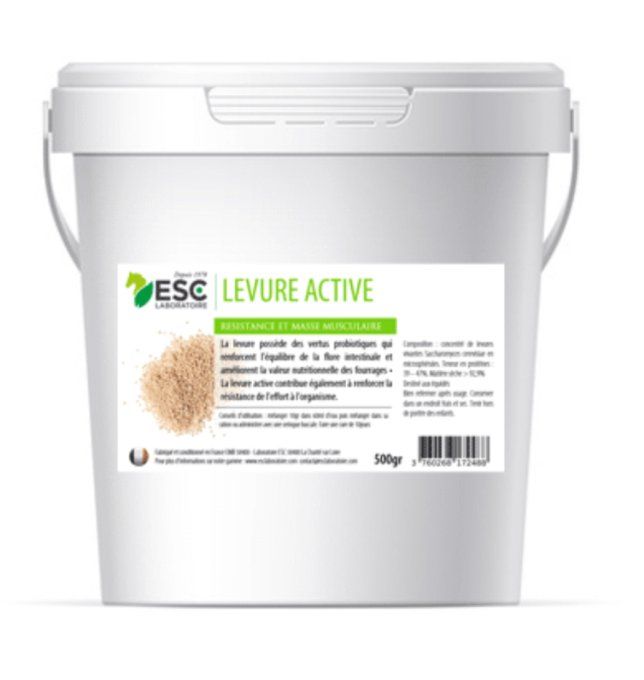 Levure Active - Probiotique Cheval