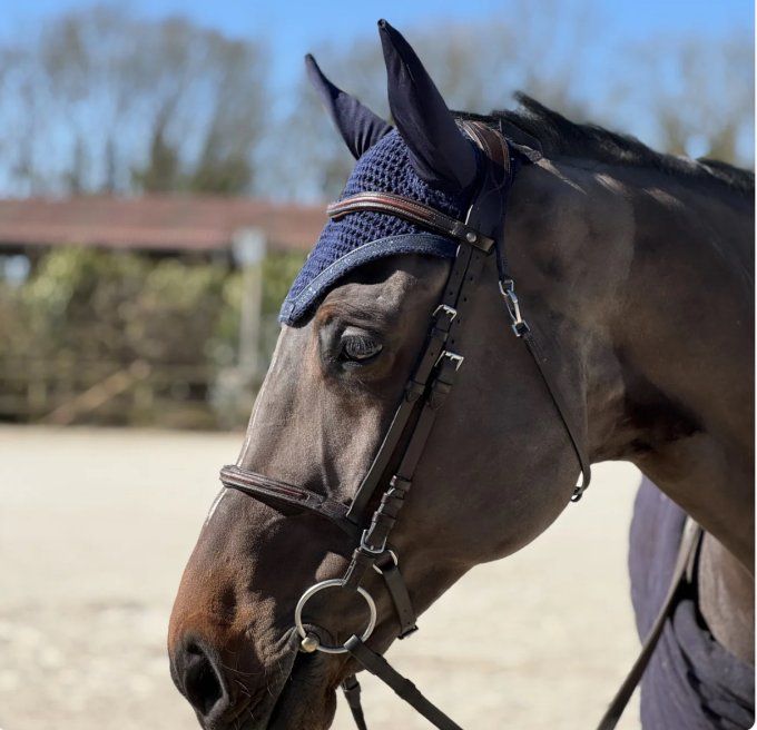 Bonnet Glitter - Caballia Equestrian 