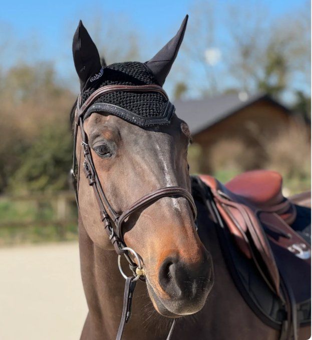 Bonnet Glitter - Caballia Equestrian 