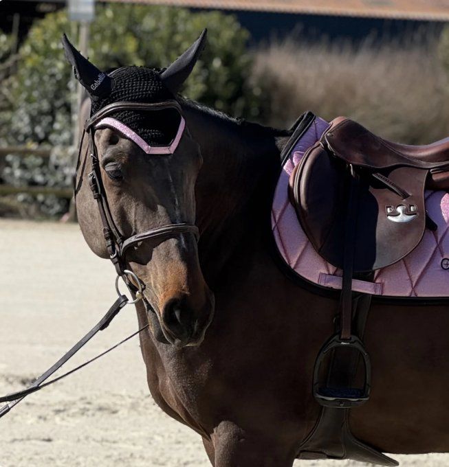 Bonnet Glitter - Caballia Equestrian 
