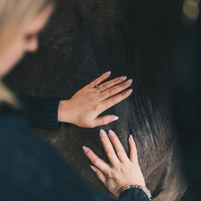 Huile confort musculaire 