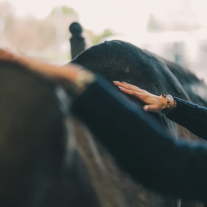 Huile confort musculaire 