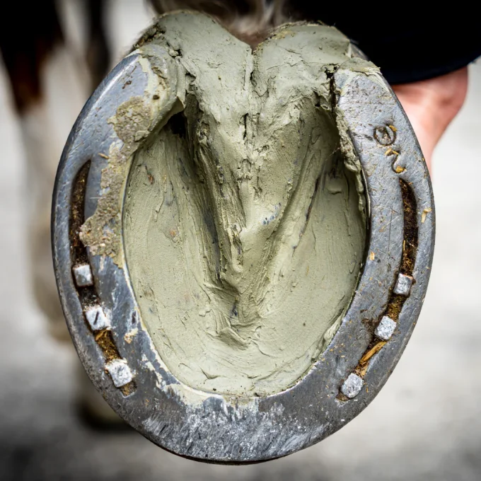 Argile Sabots Sensibles 