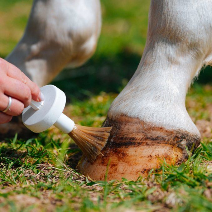 Natural’Hoof 