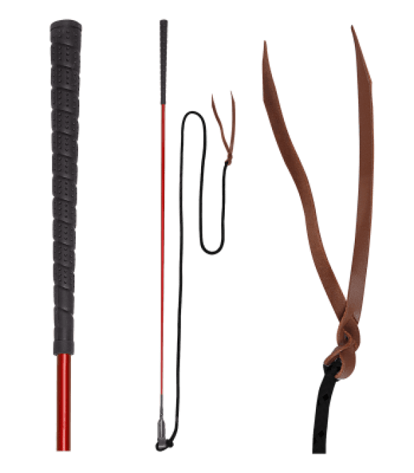 Stick de contact pour Éthologie 