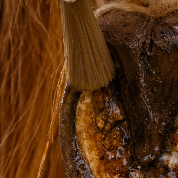 Huile Sabots sensibles 