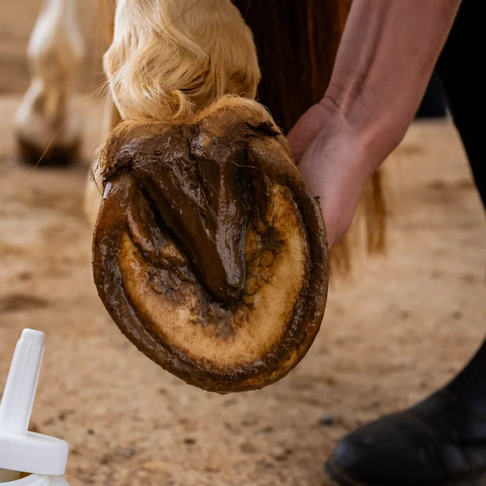 Huile Sabots sensibles 