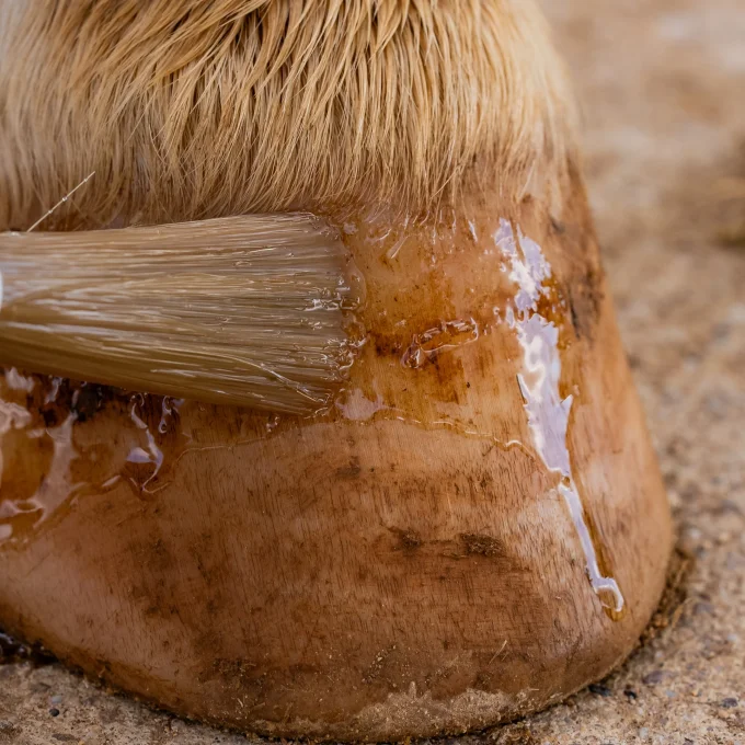 Huile Sabots sensibles 