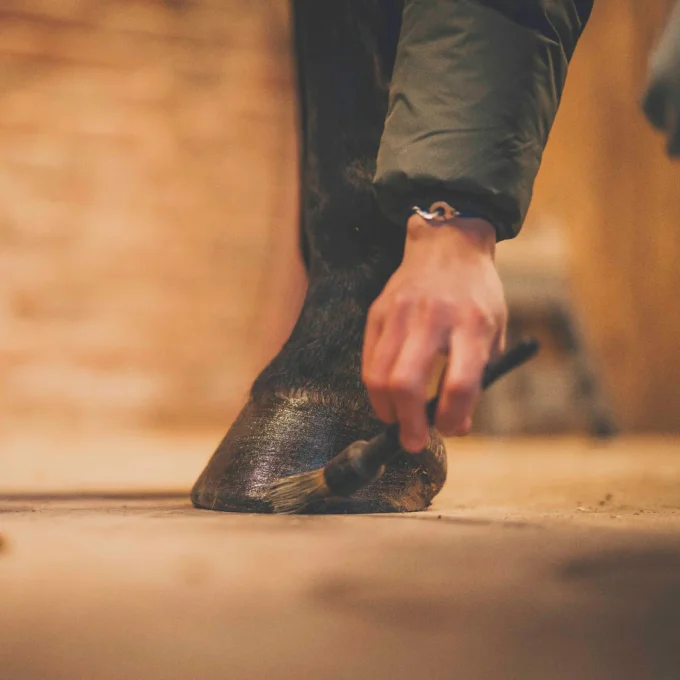 Onguent Sabots Humides Naturel 