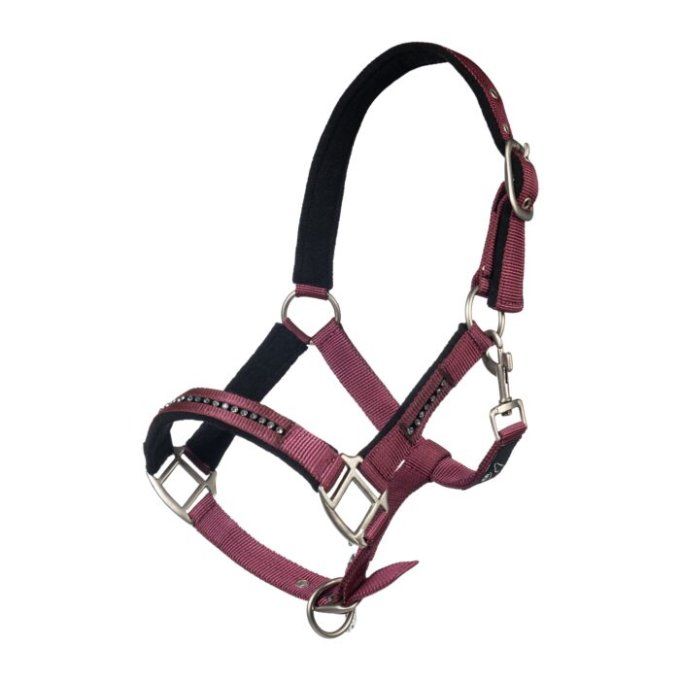 Licol Crystal + longe 