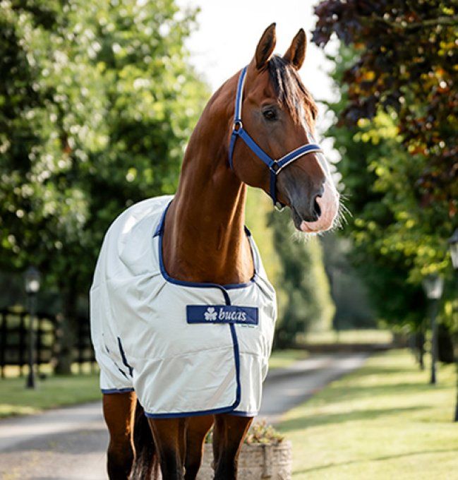 Power Turnout Meddium