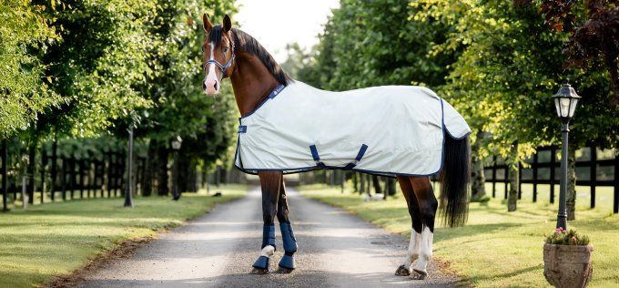 Power Turnout  Meddium 