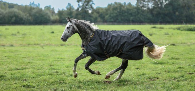 Irish turnout - 250g
