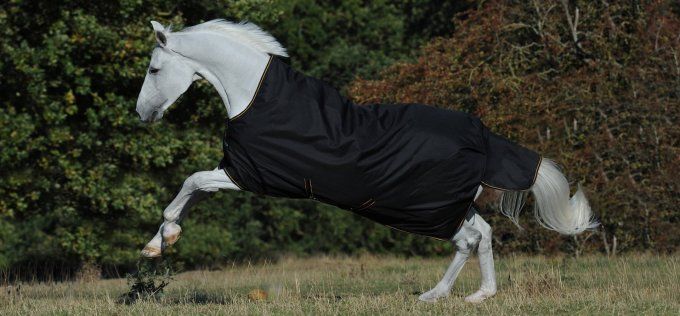 Irish Turnout - 150g 