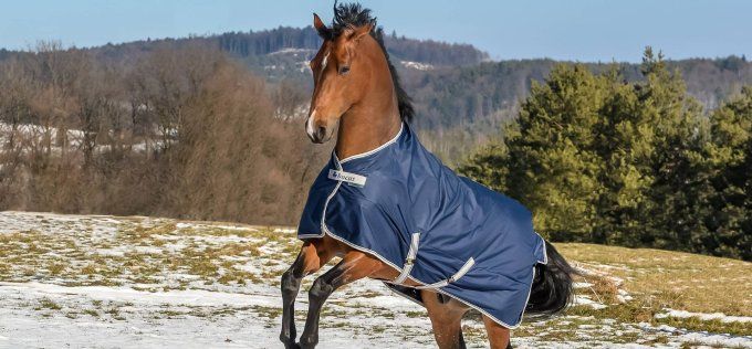 Freedom turnout 300g