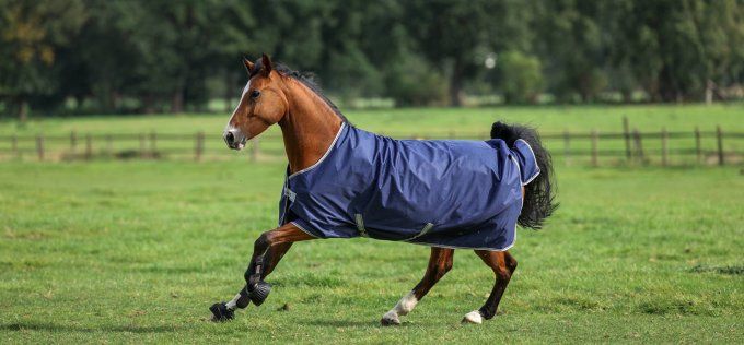 Freedom turnout 300g 