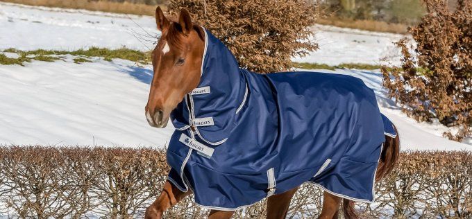 Freedom turnout 300g 