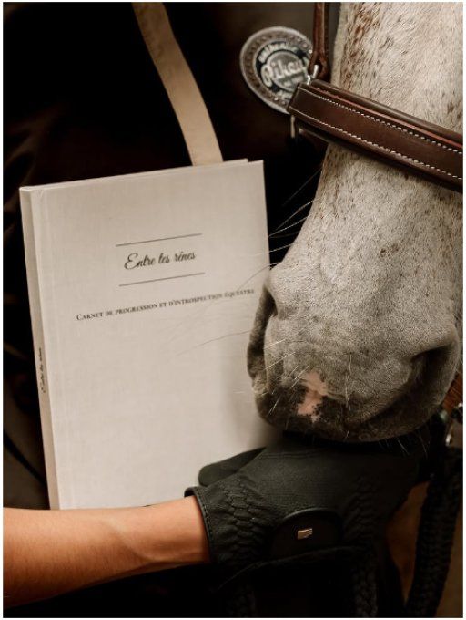 Carnet de progression 