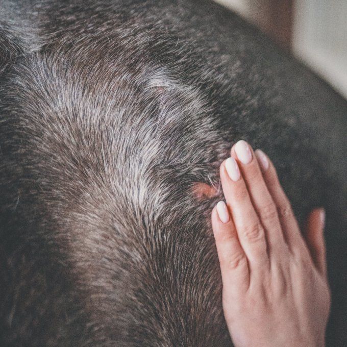 Gel Repousse Poil - Cura Naturale 