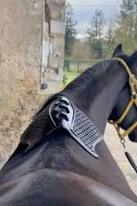 Padd de garrot en Gel - Horsena 