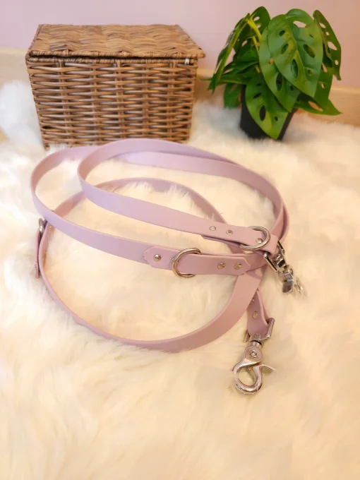 Laisse multi-position 2m20