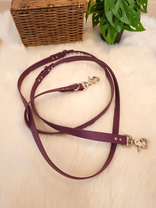 Laisse multi-position 2m20