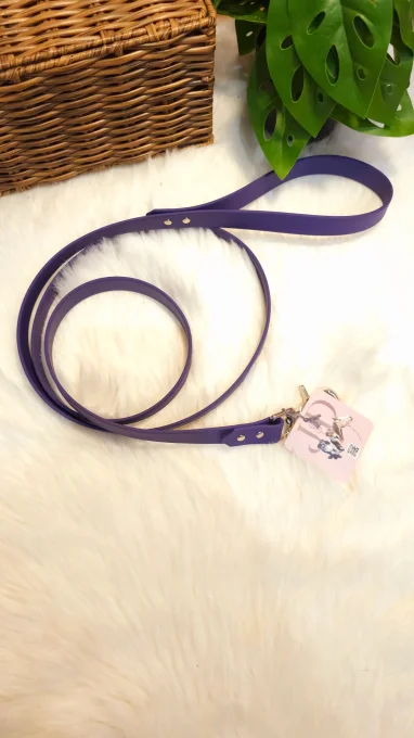 Laisse Biothane Socks - 1m50 