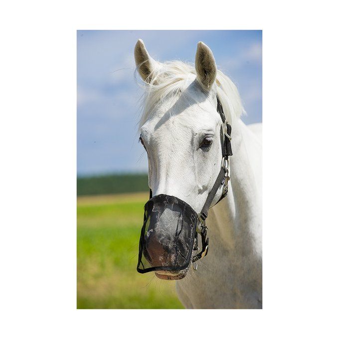 Protège Naseaux - Mailles anti-mouches