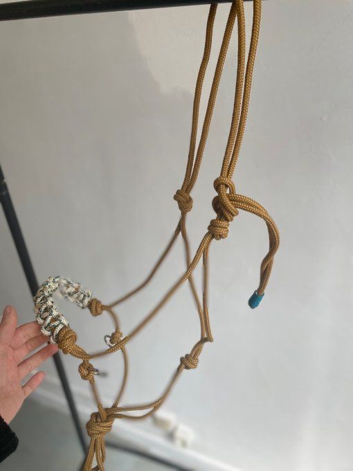 Licol Éthologique  Camel 