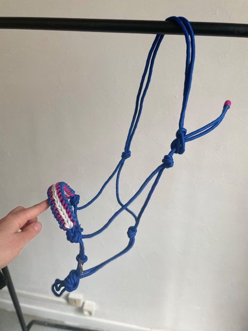 Licol ethologique Bleu roi 