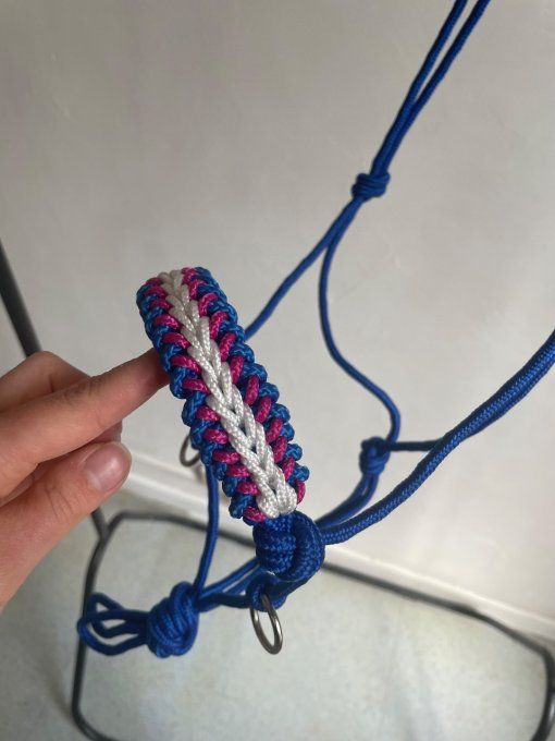 Licol ethologique Bleu roi 