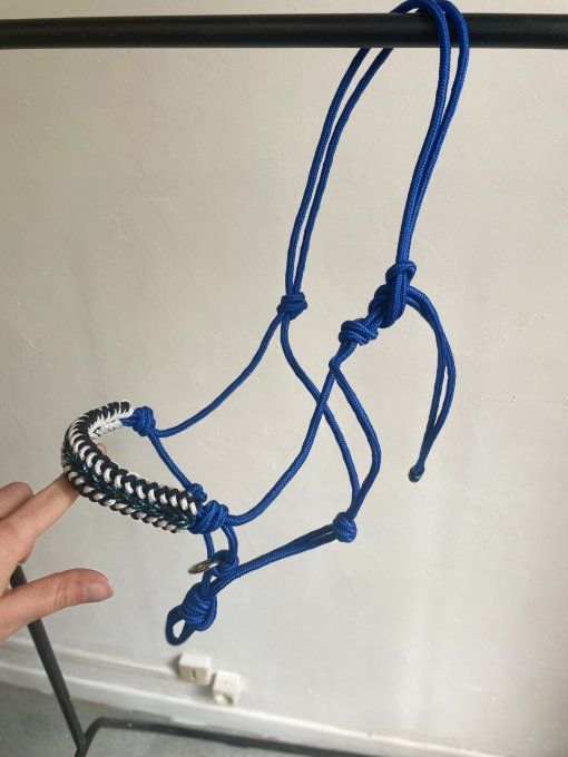 Licol Éthologique Bleu roi et marine 