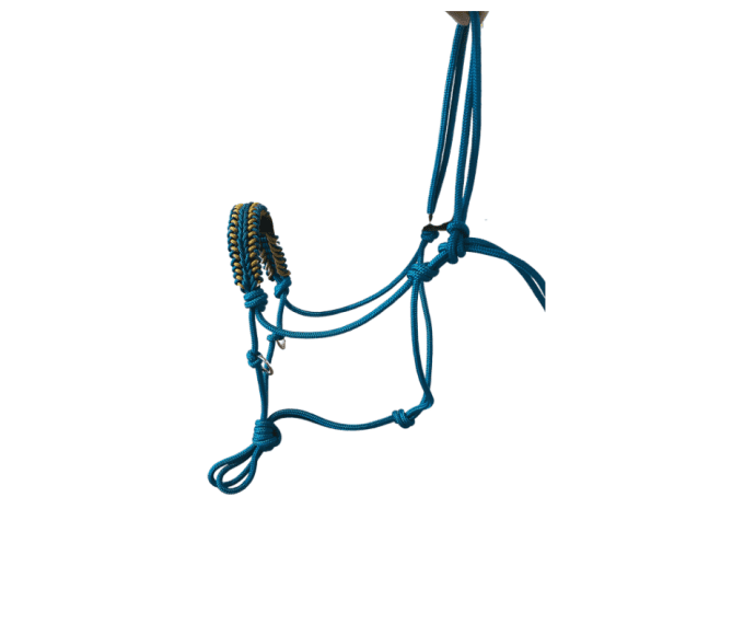 Licol Éthologique Bleu Océan 