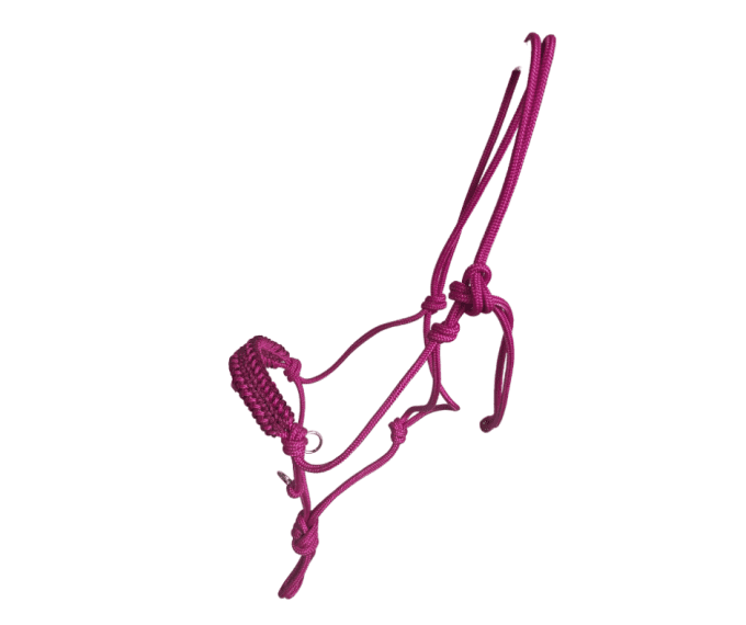Licol éthologique Fushia 