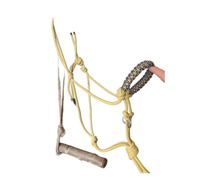 Licol Éthologique Jaune 